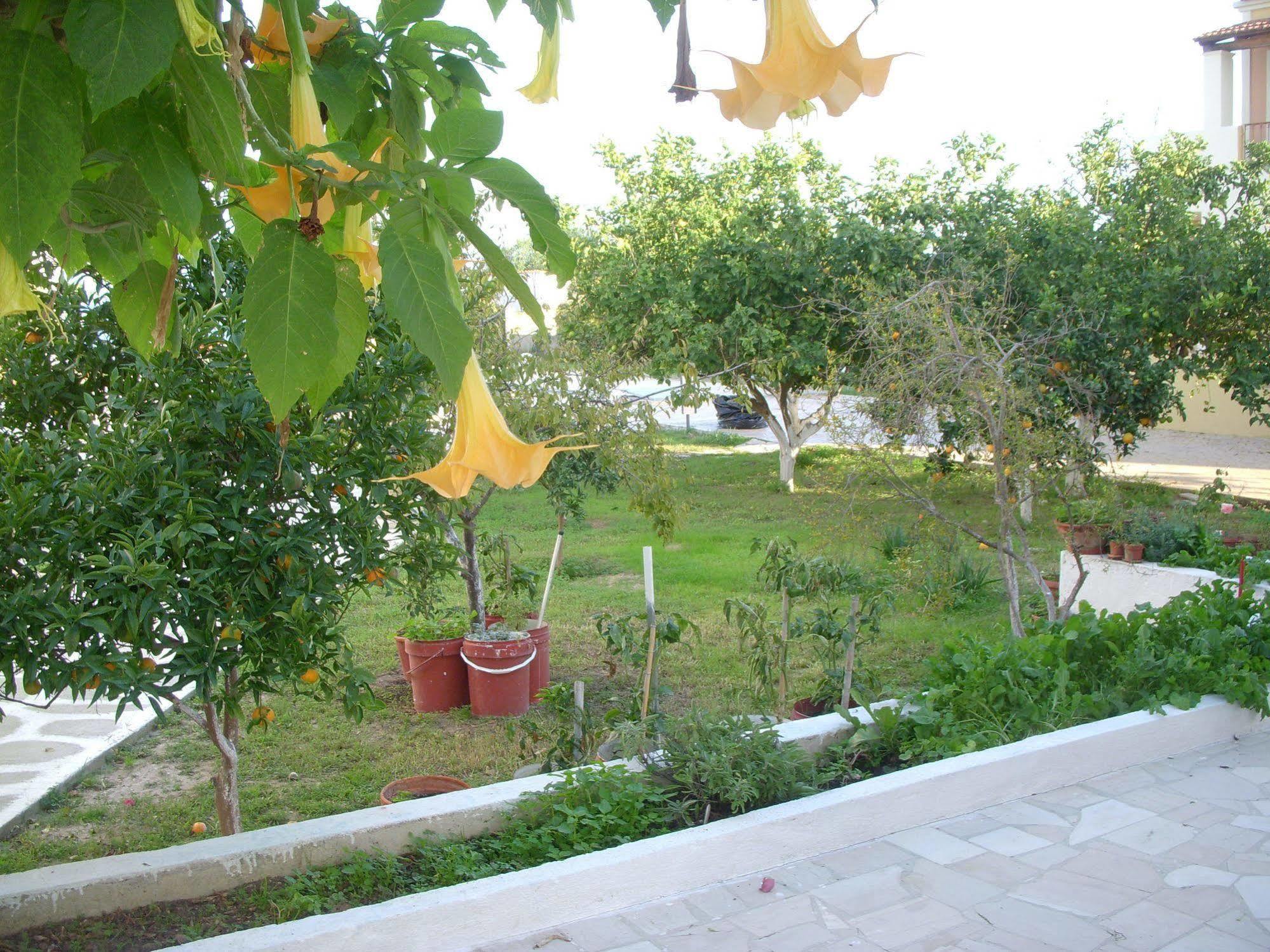 Likourgos Beach Kávos Exterior foto